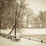 Zima w Parku